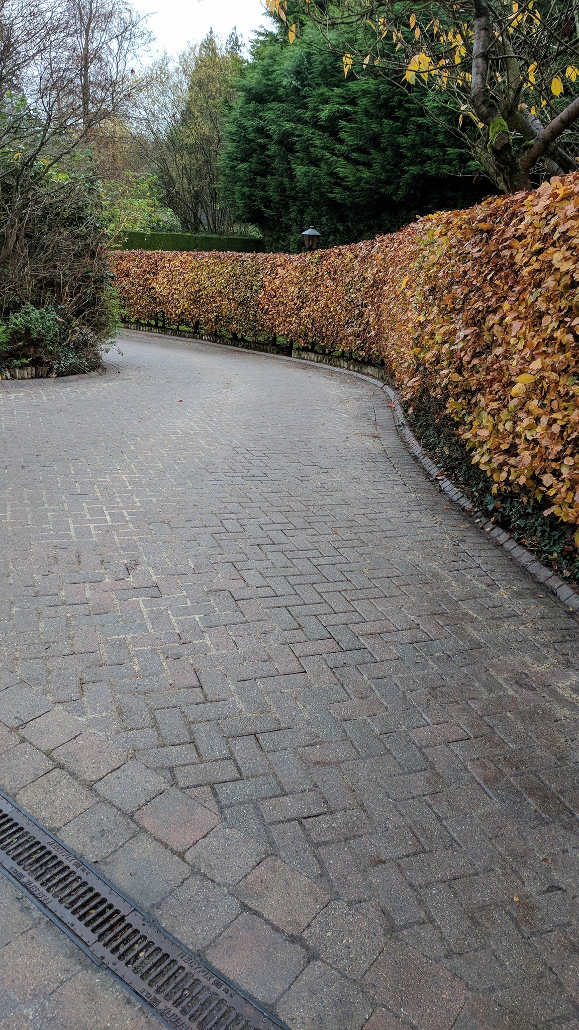 After — driveway clearing