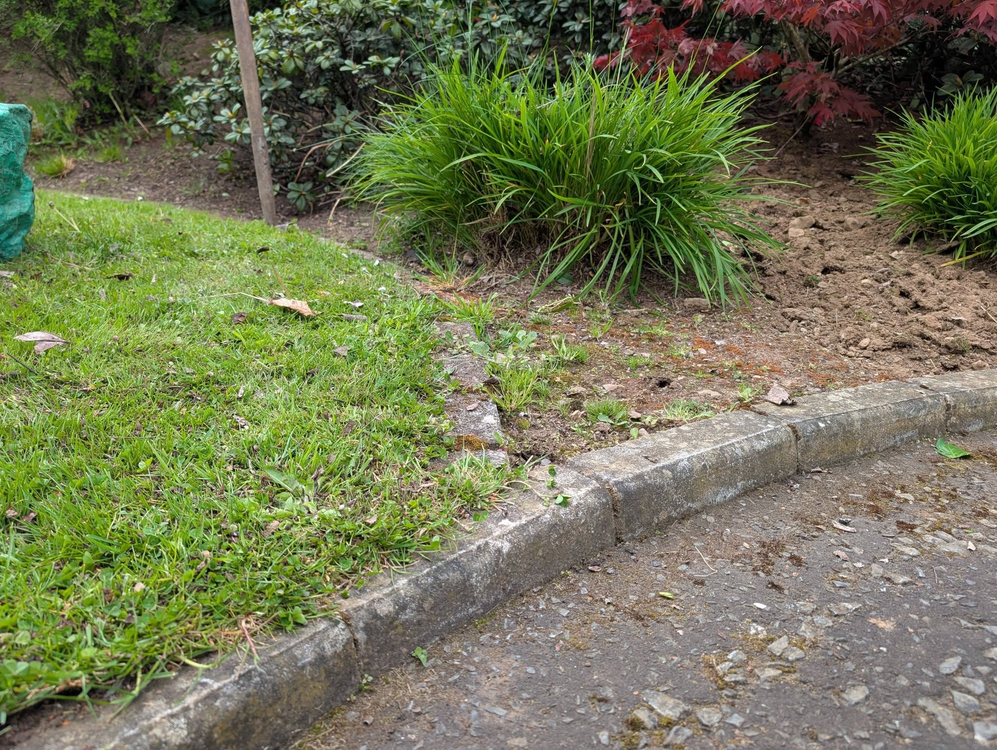 Before — border edging