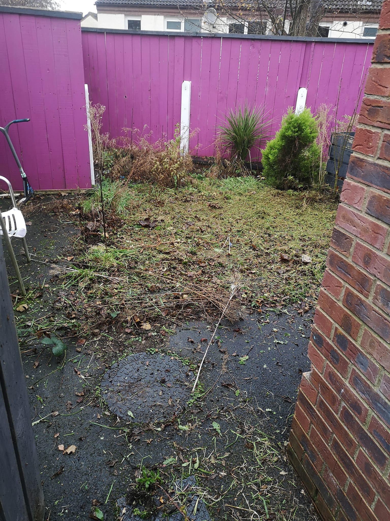 Before — garden clearance