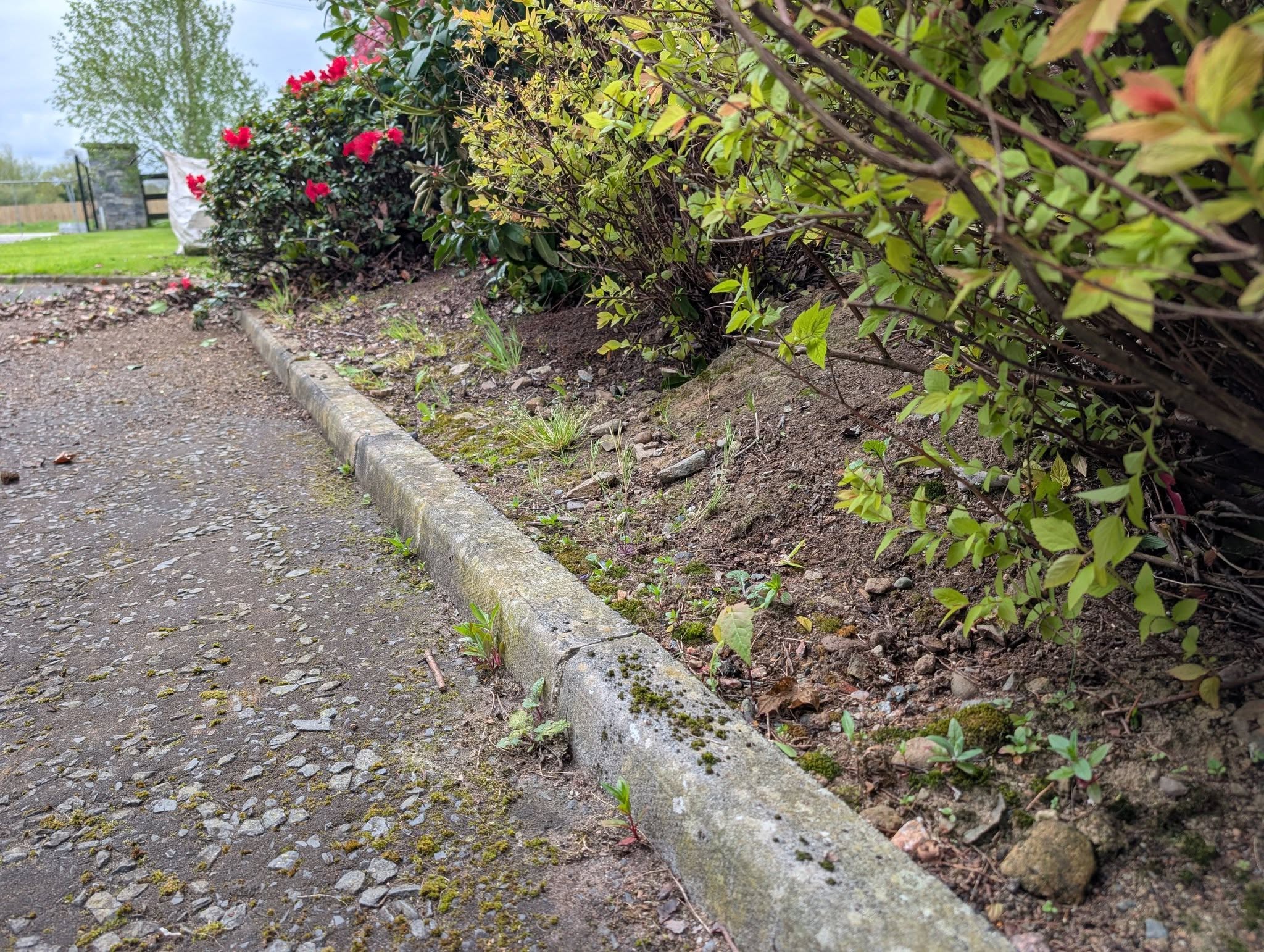 Before — border tidying