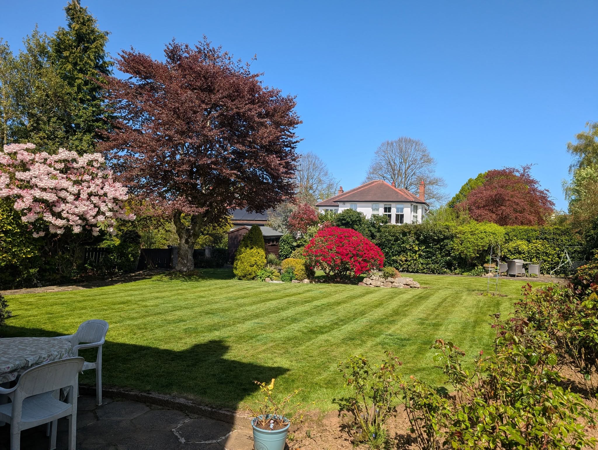 Beautiful Belfast garden maintained by DMC