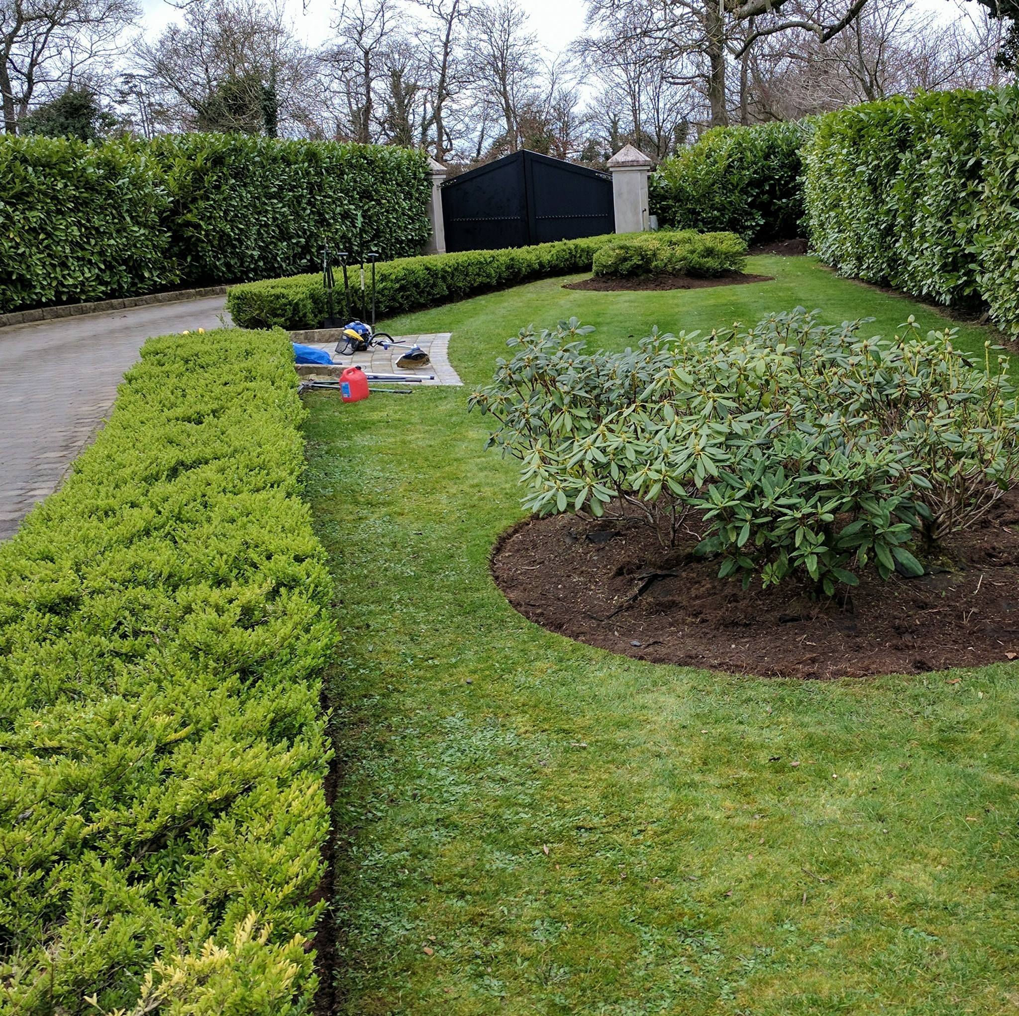 Garden maintenance Belfast
